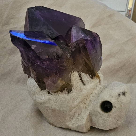 Amethyst 🐢Turtle! 365 grams, 9 x 9 cm (approx.) from head to end of Amethyst🐢 - Picture 4 of 17